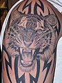 tattoo - gallery1 by Zele - animals - 2008 01 tigar i tribal tetovaža 0106